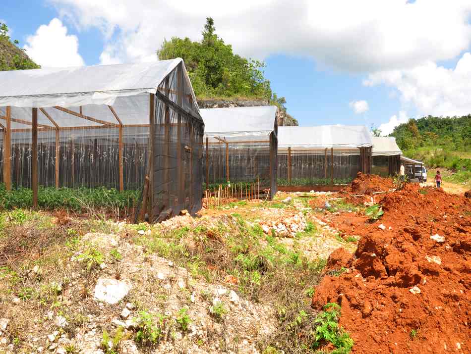 Second Rural Economic Development Initiative (REDI II) Project