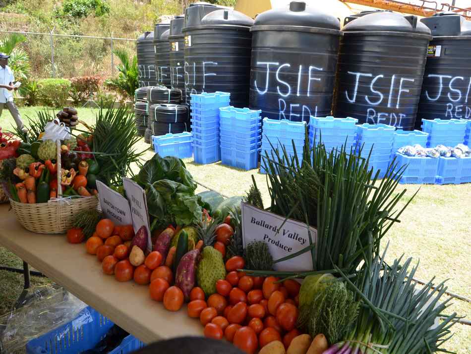 Second Rural Economic Development Initiative (REDI II) Project